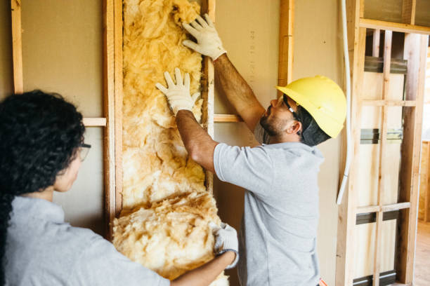 Best Professional Insulation Contractor  in Avodo Heights, CA