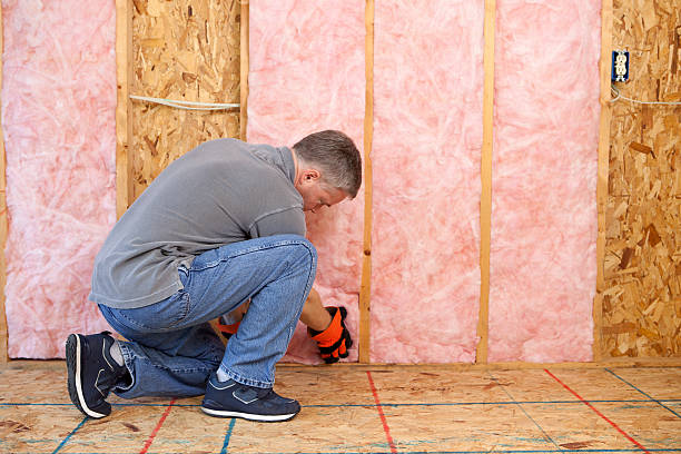 Best Insulation for New Construction  in Avodo Heights, CA