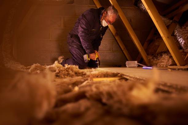 Best Cellulose Insulation  in Avodo Heights, CA